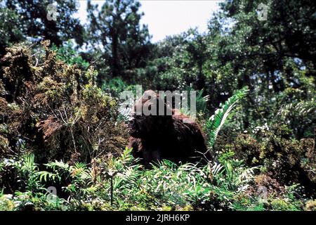 GORILLA, KÖNIG KONG LEBT, 1986 Stockfoto