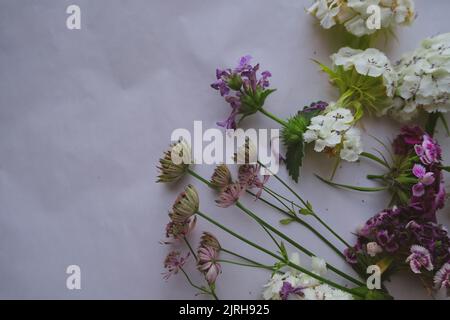 Büschel von weißen und lila Blumen auf texturiertem Hintergrund mit Kopierraum Stockfoto