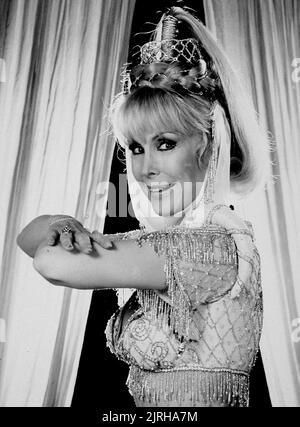 BARBARA EDEN, ICH TRÄUME VON JEANNIE: 15 JAHRE, 1985 Stockfoto