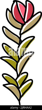 rotala rotundifolia Algen Farbe Symbol Vektor Illustration Stock Vektor