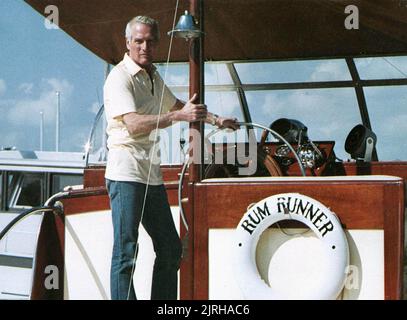 PAUL NEWMAN, Fehlen von Bosheit, 1981 Stockfoto