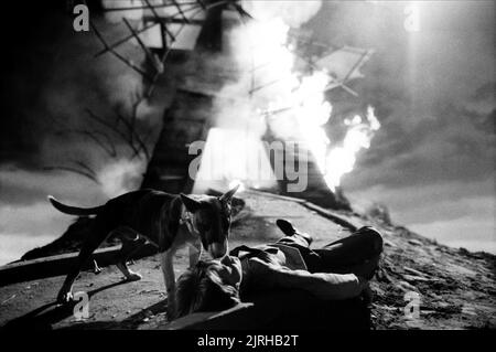 SPARKY, BARRET OLIVER, FRANKENWEENIE, 1984 Stockfoto