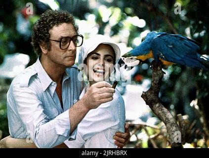 MICHAEL CAINE, MICHELLE JOHNSON, BLAME IT ON RIO, 1984 Stockfoto