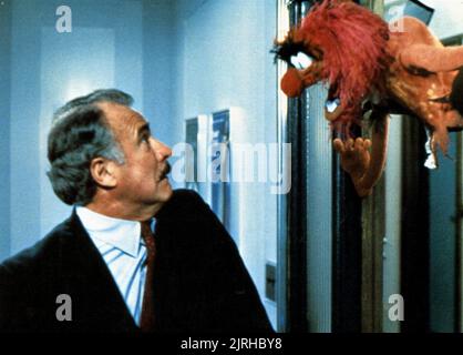 DABNEY COLEMAN, Tier, DIE MUPPETS, Manhattan, 1984 Stockfoto