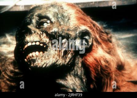 ZOMBIE-LEICHE, DIE RÜCKKEHR DER LEBENDEN TOTEN, 1985 Stockfoto