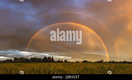 Doppelter Regenbogen über dem Feld nach Regen bei farbenprächtiger, dramatischer Abenddämmerung Stockfoto