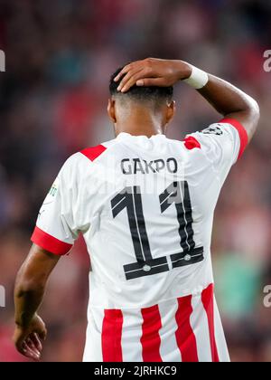 EINDHOVEN, NIEDERLANDE - 24. AUGUST: Cody Gakpo vom PSV reagiert während des UEFA Champions League Play-Off Second Leg Spiels zwischen PSV und Rangers am 24. August 2022 im Philips Stadion in Eindhoven, Niederlande (Foto: Geert van Erven/Orange Picters) Stockfoto