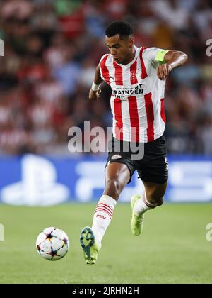 EINDHOVEN - Cody Gakpo vom PSV Eindhoven während des UEFA Champions League-Play-off-Spiels zwischen PSV Eindhoven und dem Rangers FC am 24. August 2022 im Phillips Stadium in Eindhoven, Niederlande. ANP | Dutch Höhe | Maurice van Steen Stockfoto