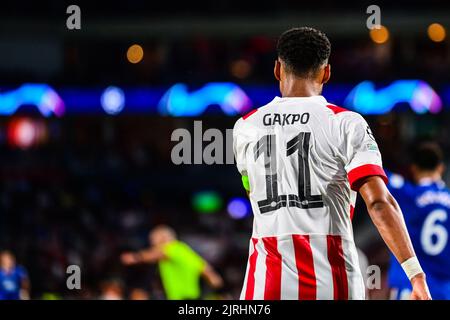 EINDHOVEN - Cody Gakpo vom PSV Eindhoven während des UEFA Champions League-Play-off-Spiels zwischen PSV Eindhoven und dem Rangers FC am 24. August 2022 im Phillips Stadium in Eindhoven, Niederlande. ANP OLAF KRAAK Stockfoto