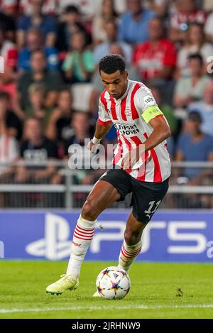 EINDHOVEN, NIEDERLANDE - 24. AUGUST: Cody Gakpo vom PSV während des UEFA Champions League Play-Off Second Leg Matches zwischen PSV und Rangers am 24. August 2022 im Philips Stadion in Eindhoven, Niederlande (Foto: Andre Weening/Orange Picles) Stockfoto