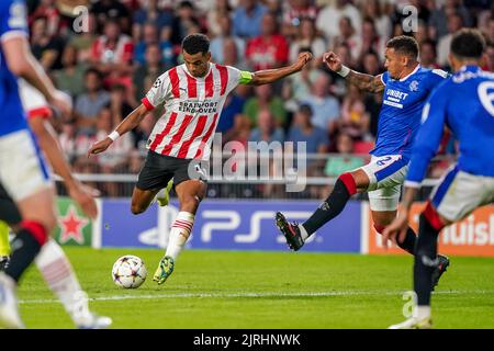 EINDHOVEN, NIEDERLANDE - 24. AUGUST: Cody Gakpo vom PSV während des UEFA Champions League Play-Off Second Leg Matches zwischen PSV und Rangers am 24. August 2022 im Philips Stadion in Eindhoven, Niederlande (Foto: Andre Weening/Orange Picles) Stockfoto