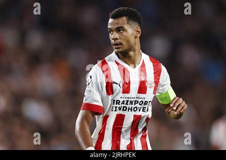 EINDHOVEN - Cody Gakpo vom PSV Eindhoven während des UEFA Champions League-Play-off-Spiels zwischen PSV Eindhoven und dem Rangers FC am 24. August 2022 im Phillips Stadium in Eindhoven, Niederlande. ANP | Dutch Höhe | Maurice van Steen Stockfoto