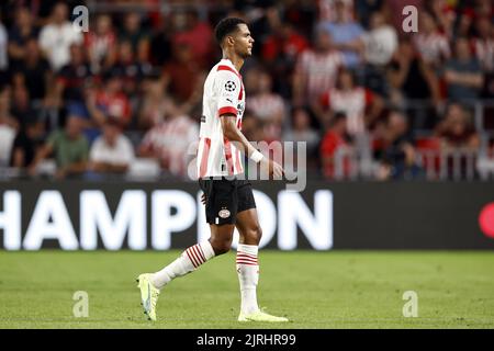 EINDHOVEN - Cody Gakpo vom PSV Eindhoven während des UEFA Champions League-Play-off-Spiels zwischen PSV Eindhoven und dem Rangers FC am 24. August 2022 im Phillips Stadium in Eindhoven, Niederlande. ANP | Dutch Höhe | Maurice van Steen Stockfoto