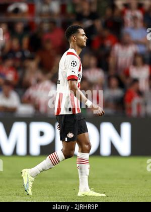 EINDHOVEN - Cody Gakpo vom PSV Eindhoven während des UEFA Champions League-Play-off-Spiels zwischen PSV Eindhoven und dem Rangers FC am 24. August 2022 im Phillips Stadium in Eindhoven, Niederlande. ANP | Dutch Höhe | Maurice van Steen Stockfoto