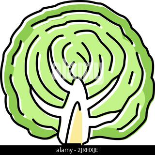 Die Hälfte der Kohlgemüse Farbe Symbol Vektor-Illustration Stock Vektor