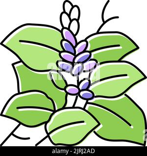 kudzu Pflanze Farbe Symbol Vektor Illustration Stock Vektor