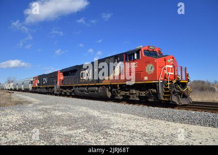 Hoffman Estates, Illinois, USA. Die Lokomotiven der Canadian National Railway an der Spitze eines Güterzuges halten am Passing. Stockfoto