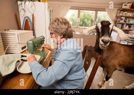 Husqvarna Nähmaschine, Typ 21 Stockfoto