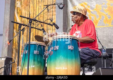 Perkussionist Alfred 'Uganda' Roberts spielt Congas mit John Mooney beim Jazz and Heritage Festival 2019 am 3. Mai 2019 in New Orleans, LA, USA Stockfoto