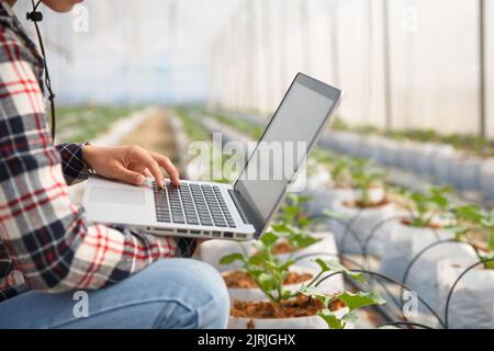 Agrartechnologiekonzept man Agronom mit einem Laptop in einem Agrarbereich lesen Sie einen Bericht, Pflanzenanalyse und Forschung Stockfoto