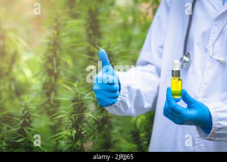 Cannabisöl in der Hand des Arztes und die andere Hand Daumen hoch. Hintergrund der Cannabispflanze. Das Konzept von Hanföl, das therapeutische Qualität hat Stockfoto