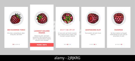 himbeer-Früchte-Beere rote Nahrung Onboarding Symbole Vektor setzen Stock Vektor