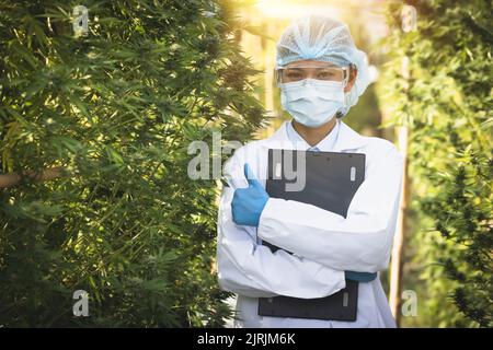 Marihuana-Forschung, Wissenschaftlerin in einem Hanffeld, das Pflanzen und Blumen untersucht, Konzept der alternativen Kräutermedizin Stockfoto