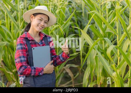 Smart Frau Landwirt Agronomin mit digitalen Tablet für die Prüfung und Inspektion der Qualitätskontrolle von Maisernte produzieren. Landwirtschaftliche Technologie. Stockfoto