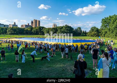 24. August 2022, New York, New York, USA: Hunderte von Menschen versammelten sich im Central Park, um den Unabhängigkeitstag der Ukraine zu feiern und entrollten die riesige 60x40 m große ukrainische Flagge. Die Feierlichkeiten im Central Park wurden von der Invasion russischer Truppen in die Ukraine überschattet und es sind bereits unzählige Menschenleben verloren gegangen. (Bild: © Fotograf Lev Radin/Pacific Press via ZUMA Press Wire) Stockfoto