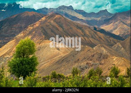 Landschaft in den Bergen. Malerisches Bergdorf flankiert von Feldern, Bäumen hohen Himalaya-Gipfeln im Spiti-Tal bei Nako, Himachal Pradesh. Stockfoto