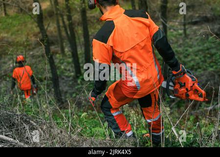 Nahaufnahme einer Hand, die eine Kettensäge hält. Der Holzfäller trägt bei der Arbeit eine orangefarbene persönliche Schutzausrüstung. Gärtner, der im Wald draußen arbeitet. Se Stockfoto