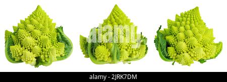 Romanesco Brokkoli-Kohl oder römischer Blumenkohl isoliert auf weißem Hintergrund. Set oder Collection Stockfoto