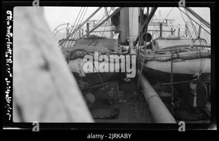 Walfang im Rossmeer, 1924, Südsee, von Captain George Samuel Hooper. Stockfoto