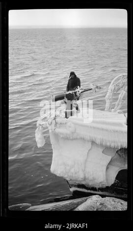 Walfang im Rossmeer, 1924, Südsee, von Captain George Samuel Hooper. Stockfoto