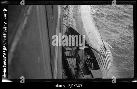 Walfang im Rossmeer, 1924, Südsee, von Captain George Samuel Hooper. Stockfoto