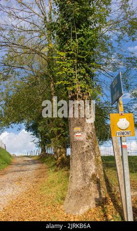 Landschaft des Camino de Santiago. Richtungsschild auf Camino Frances. Leere Straße auf dem Land. Wallfahrt Hintergrund, Frankreich. Stockfoto