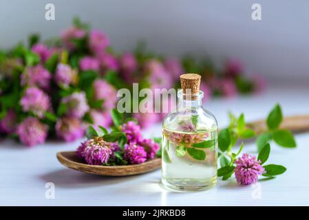 Rosa Kleeöl Blume Blüte weiß Hintergrund Tinktur Infusion traditionelle Medizin Aromatherapie kleine Flasche Trifolium Pratense Text Raum cosmeti Stockfoto