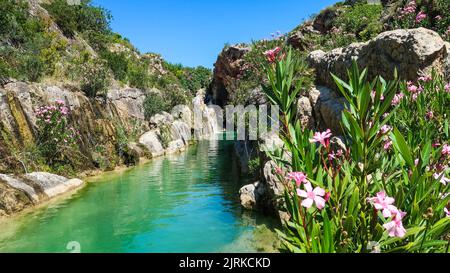 Naturpool Bolbaite, am Canal de Navarres, Valencia, Bundesland Valencia, Spanien. Stockfoto