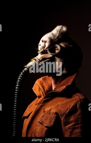 Studioportrait einer Person mit einer völlig unkenntlichen Maske Stockfoto