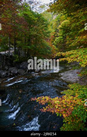Am Sommertag in der Natur Spaniens fließt eine schnelle Kaskade aus Steinen in einen plätschernden Fluss inmitten hoher grüner Bäume Stockfoto
