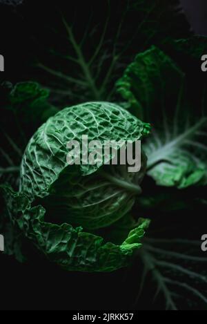 Von oben dramatisches Bild von grünem frischem Kohl auf dunklem Hintergrund Stockfoto