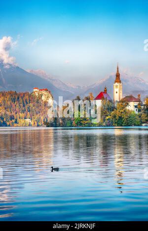 Atemberaubende Aussicht auf den Sonnenuntergang über dem beliebten Touristenziel Bled See. Dramatische Ansicht der Wallfahrtskirche Mariä Himmelfahrt. Lage: Bled, Uppe Stockfoto