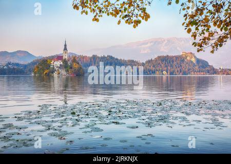 Atemberaubende Aussicht auf den Sonnenuntergang über dem beliebten Touristenziel Bled See. Dramatische Ansicht der Wallfahrtskirche Mariä Himmelfahrt. Lage: Bled, Uppe Stockfoto