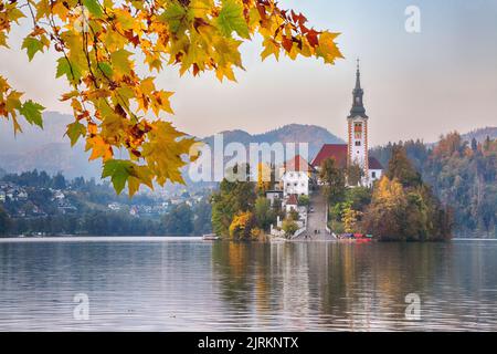 Atemberaubende Aussicht auf den Sonnenuntergang über dem beliebten Touristenziel Bled See. Dramatische Ansicht der Wallfahrtskirche Mariä Himmelfahrt. Lage: Bled, Uppe Stockfoto