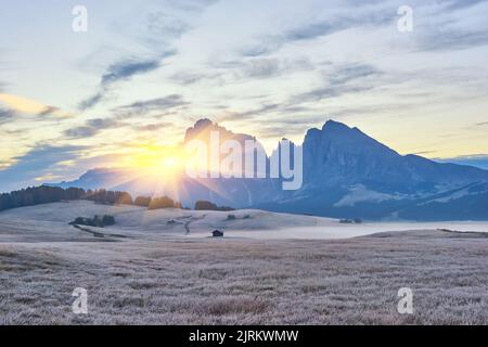 Schönen Morgen Licht über dem Langkofel Berggipfel, Seiser Alm, Italien, Europa Stockfoto