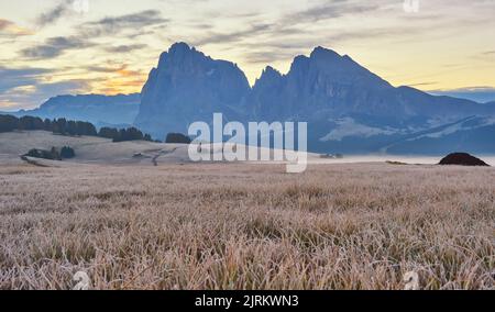 Schönen Morgen Licht über dem Langkofel Berggipfel, Seiser Alm, Italien, Europa Stockfoto