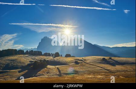 Schönen Morgen Licht über dem Langkofel Berggipfel, Seiser Alm, Italien, Europa Stockfoto