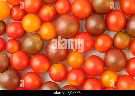 Ansicht von oben auf eine Vielzahl von frischen, biologischen, in verschiedenen Farben und Größen geeinten Kirschtomaten. Farbenfrohe Makro-Food-Hintergrundtextur. Stockfoto