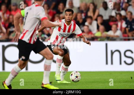 EINDHOVEN - Cody Gakpo vom PSV während des UEFA Champions League-Play-off-Spiels zwischen PSV Eindhoven und dem Rangers FC am 24. August 2022 im Phillips Stadium in Eindhoven, Niederlande. ANP OLAF KRAAK Stockfoto
