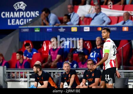 EINDHOVEN - Cody Gakpo vom PSV während des UEFA Champions League-Play-off-Spiels zwischen PSV Eindhoven und dem Rangers FC am 24. August 2022 im Phillips Stadium in Eindhoven, Niederlande. ANP OLAF KRAAK Stockfoto